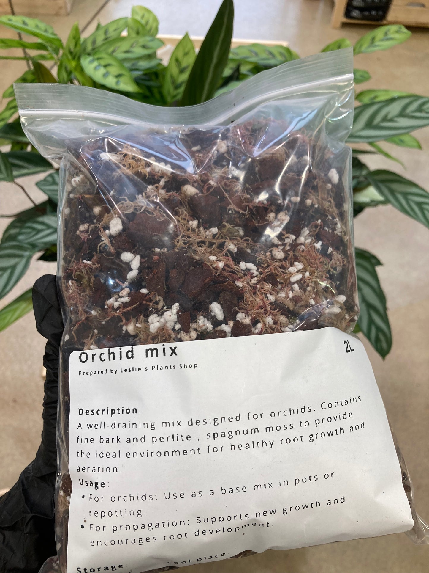 Orchid potting mix