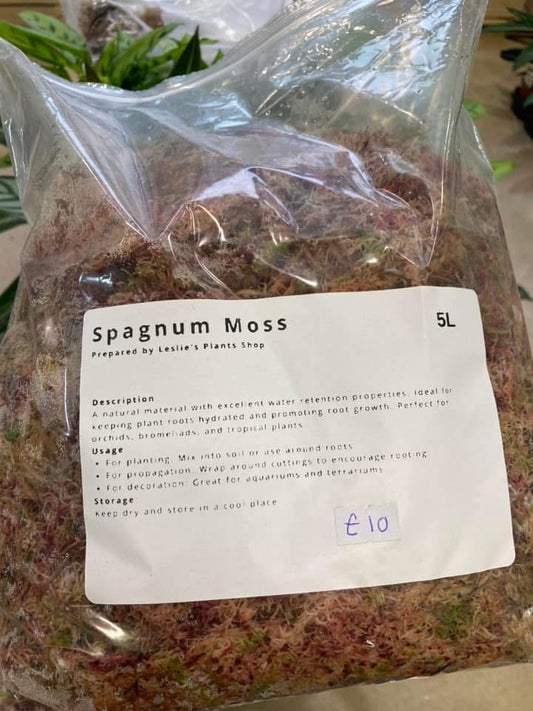 Sphagnum Moss
