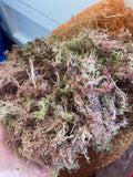 Fresh sphagnum moss