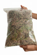 Sphagnum Moss
