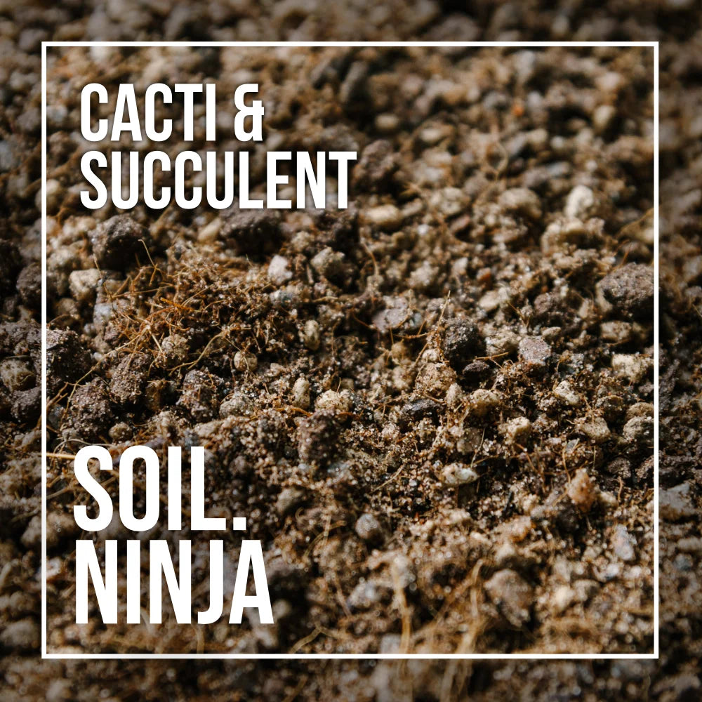 Soil Ninja Cactus & Succulents mix