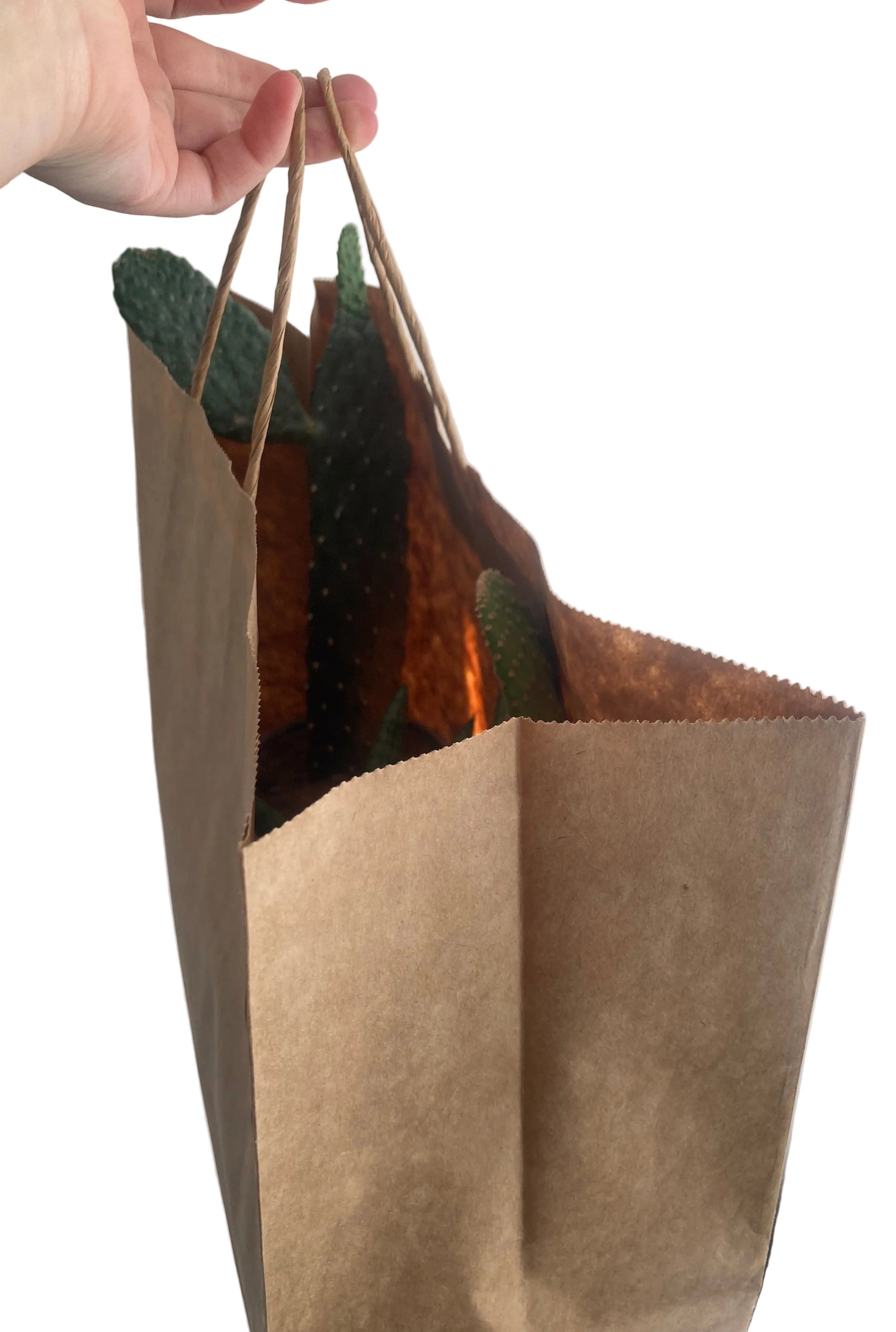 Mystery bag