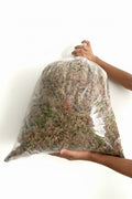Fresh Sphagnum Moss