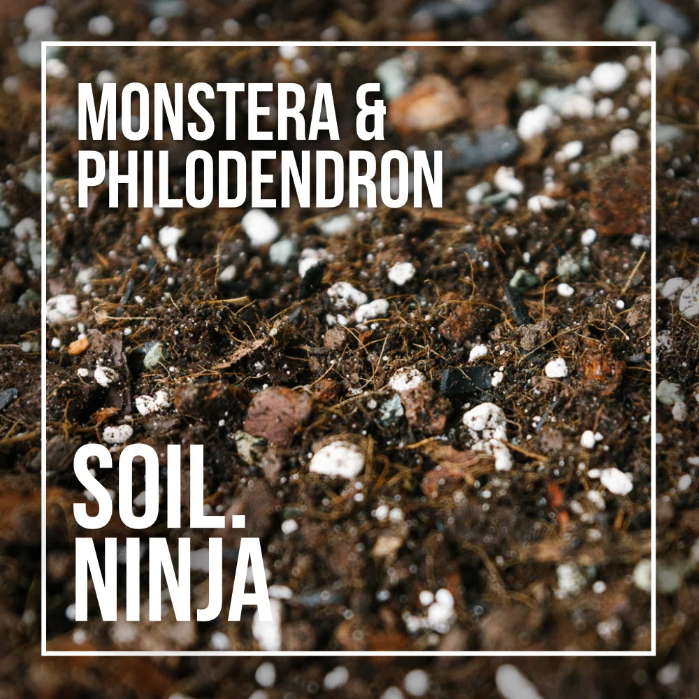 Soil Ninja - Monstera & Philodendron