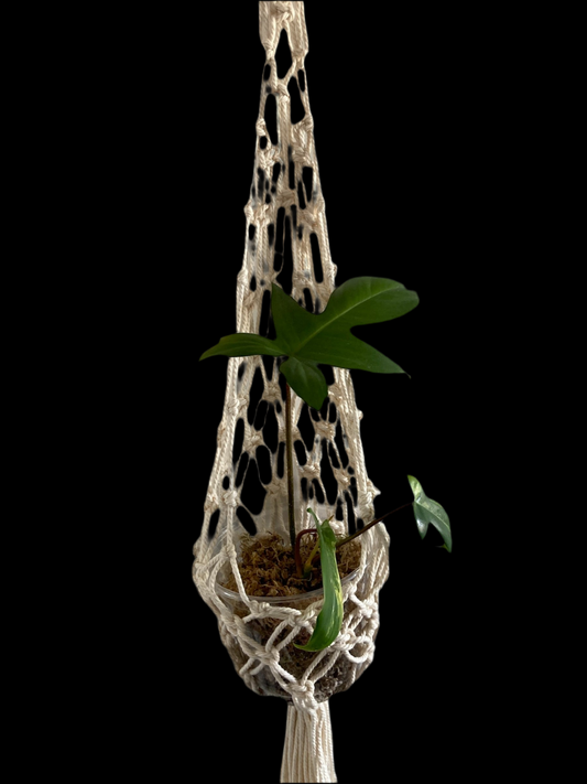 Drop-Shaped Macramé Plant Hanger