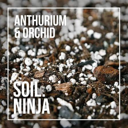 Soil Ninja Anthurium & Orchid mix