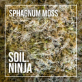 Soil Ninja Moss