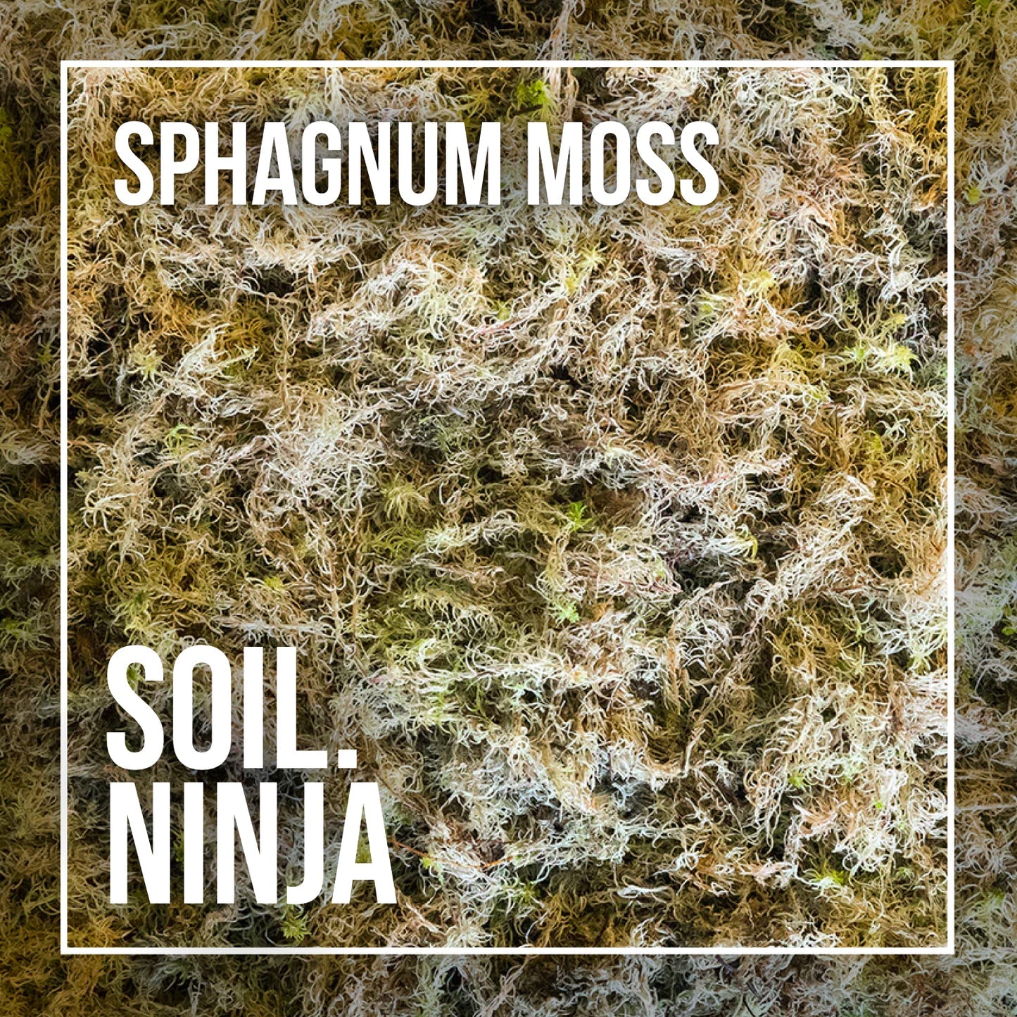 Soil Ninja Moss